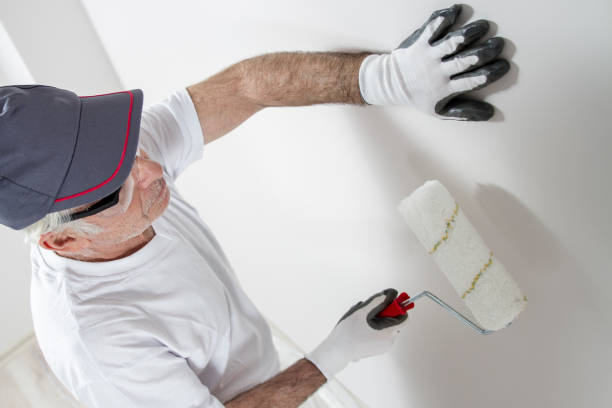 Best Mold Odor Removal Services  in Campbellsville, KY