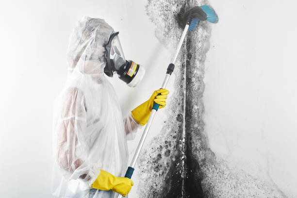Mold Remediation for Rental Properties in Campbellsville, KY