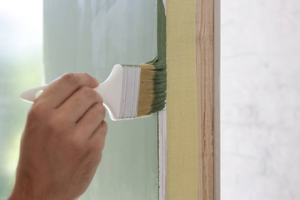 Best Mold Damage Restoration  in Campbellsville, KY
