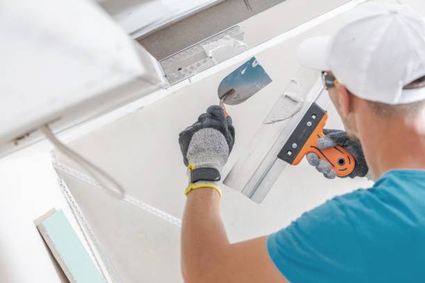 Best Forensic Mold Investigation  in Campbellsville, KY